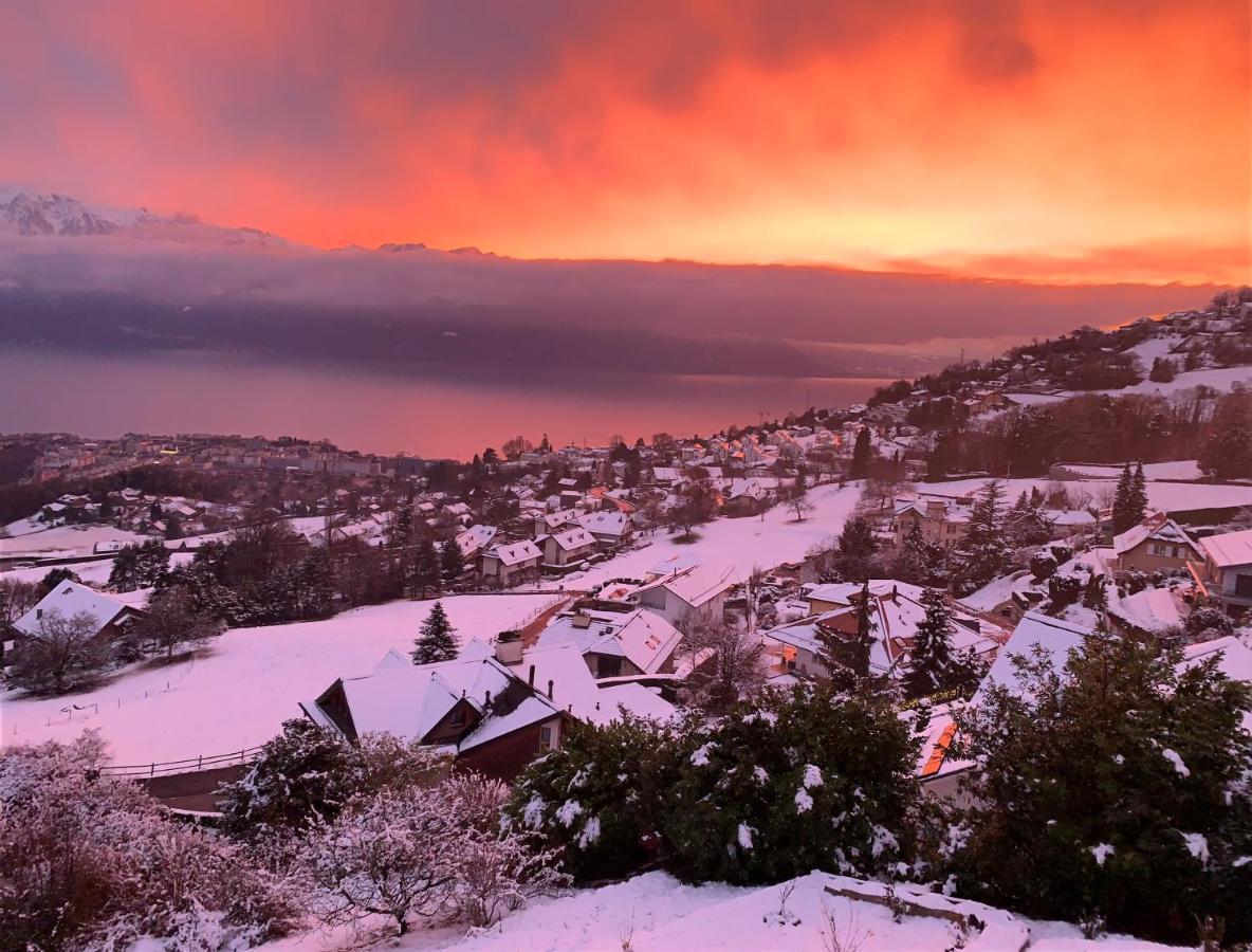 Appartement Moderne Avec Vue Panoramique A Jongny Proche De Montreux Екстер'єр фото