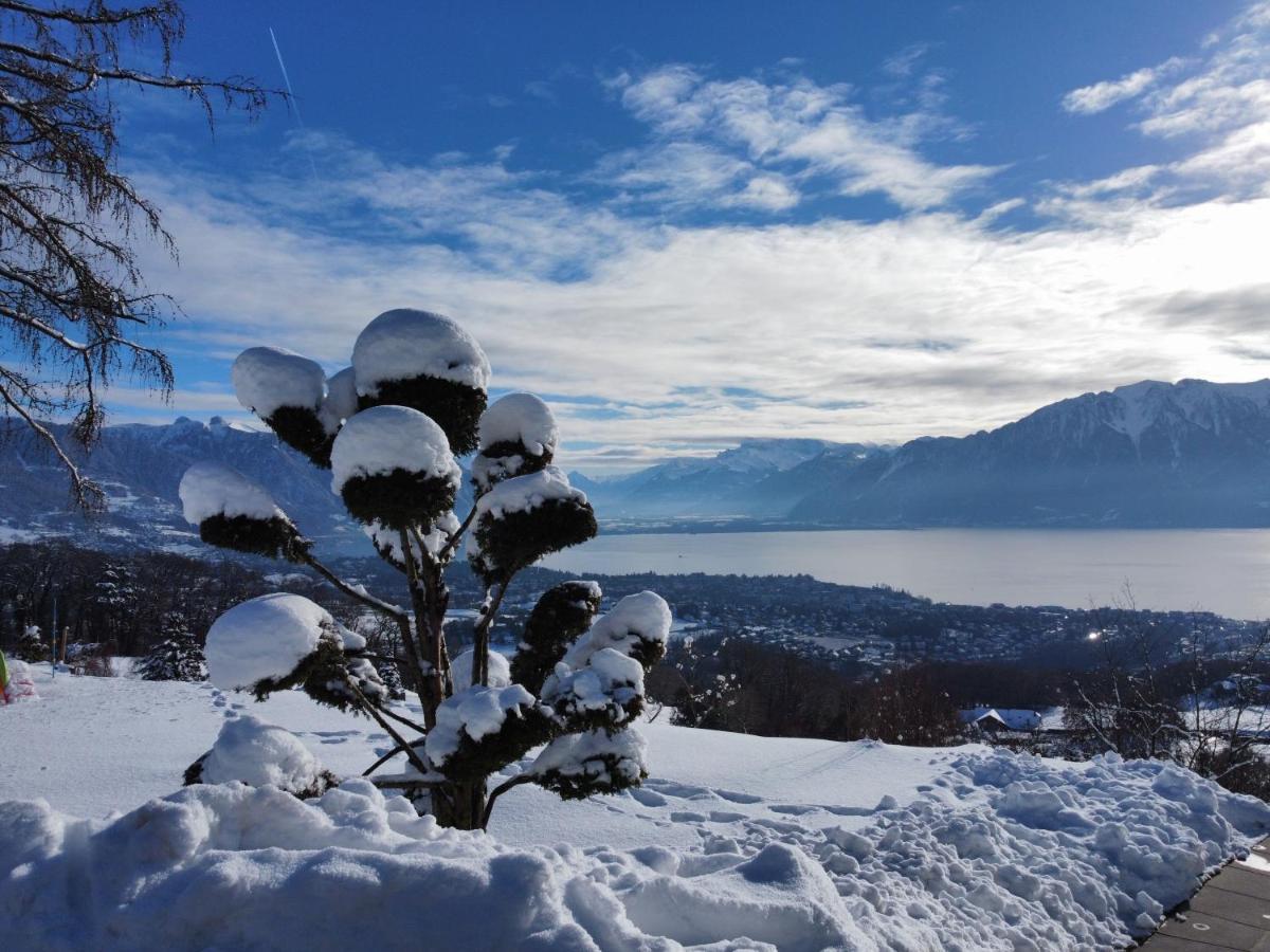Appartement Moderne Avec Vue Panoramique A Jongny Proche De Montreux Екстер'єр фото