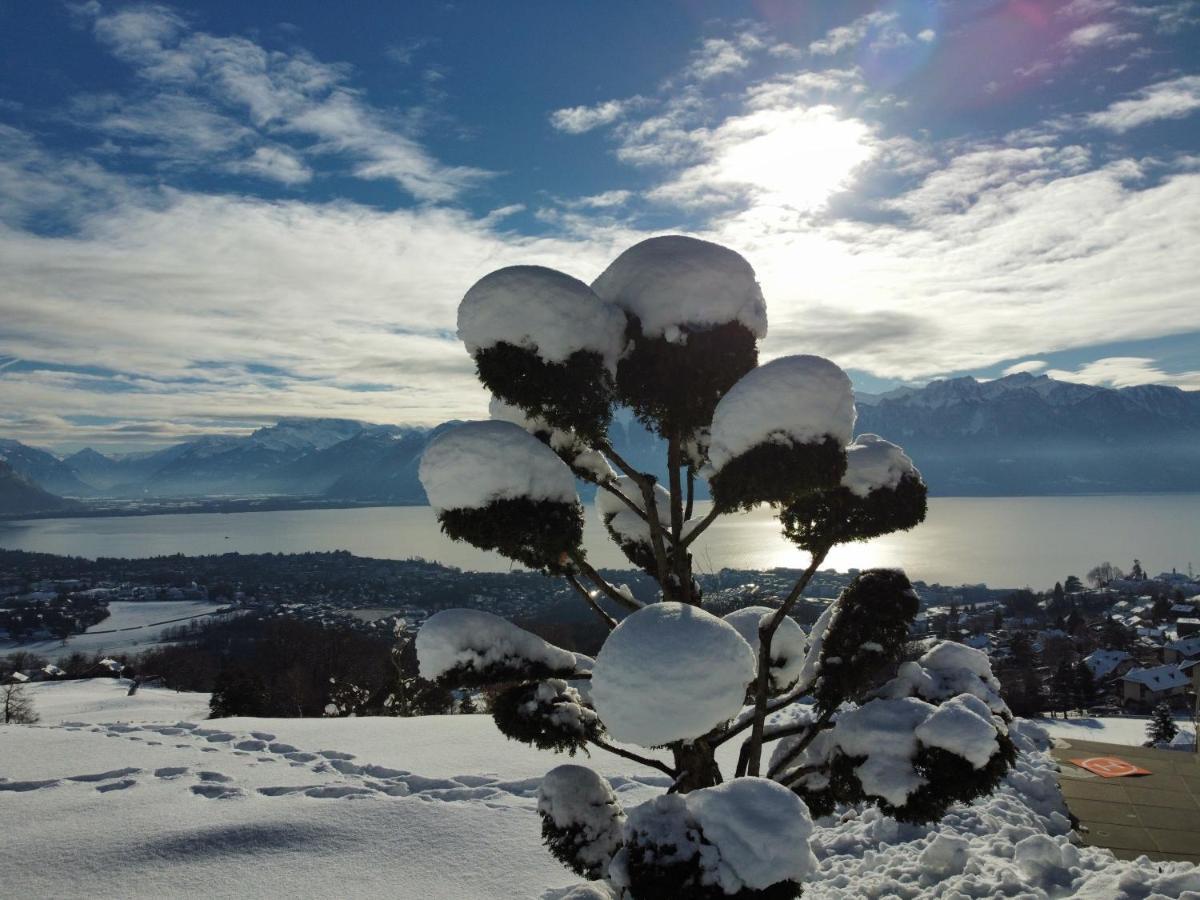 Appartement Moderne Avec Vue Panoramique A Jongny Proche De Montreux Екстер'єр фото